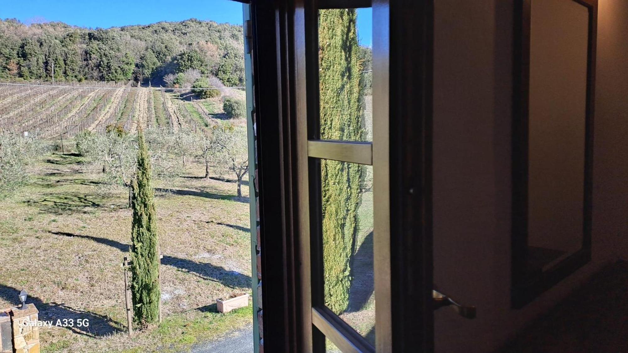 Podere Oliveta Montecatini Val di Cecina Εξωτερικό φωτογραφία