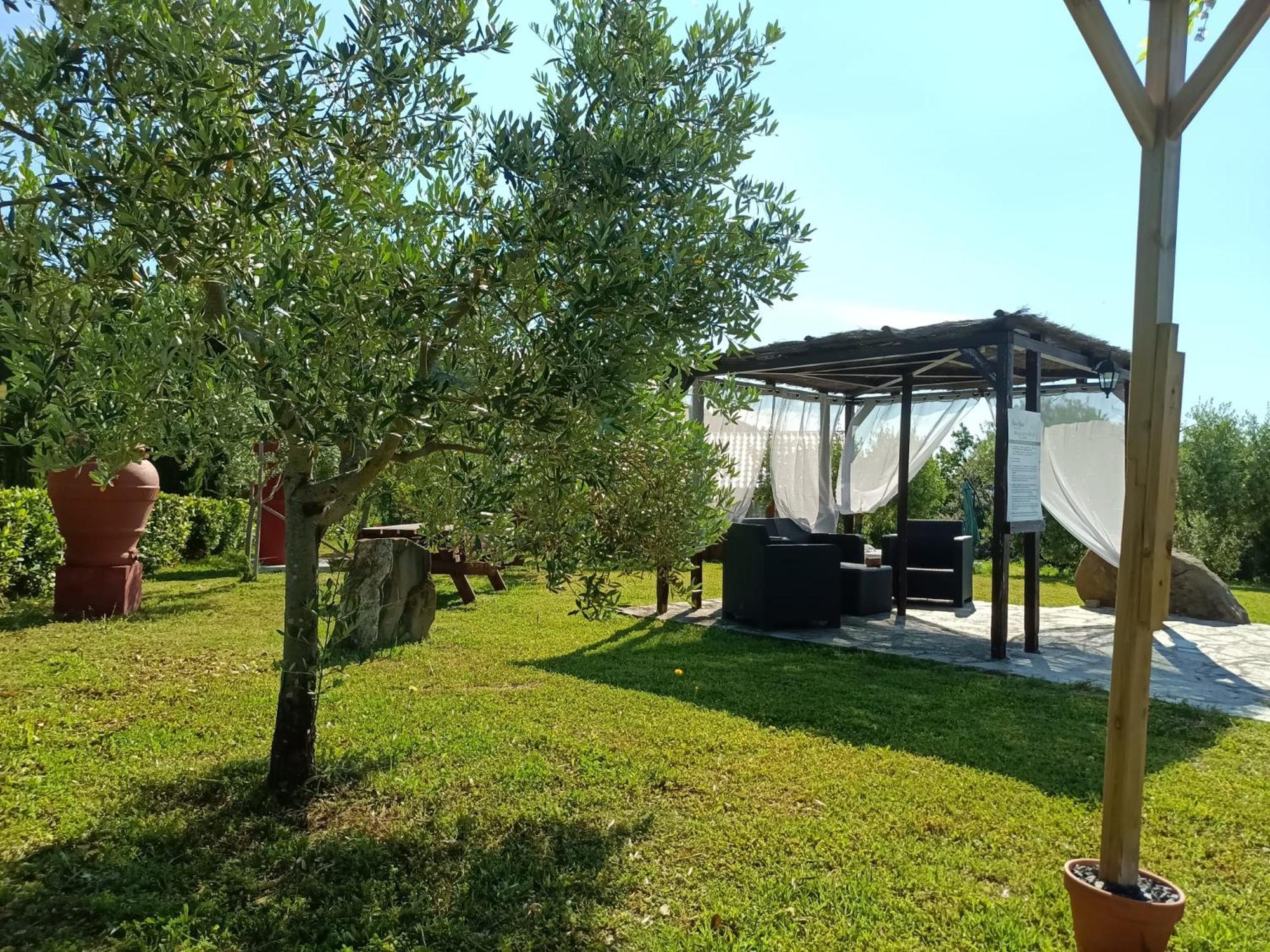 Podere Oliveta Montecatini Val di Cecina Εξωτερικό φωτογραφία