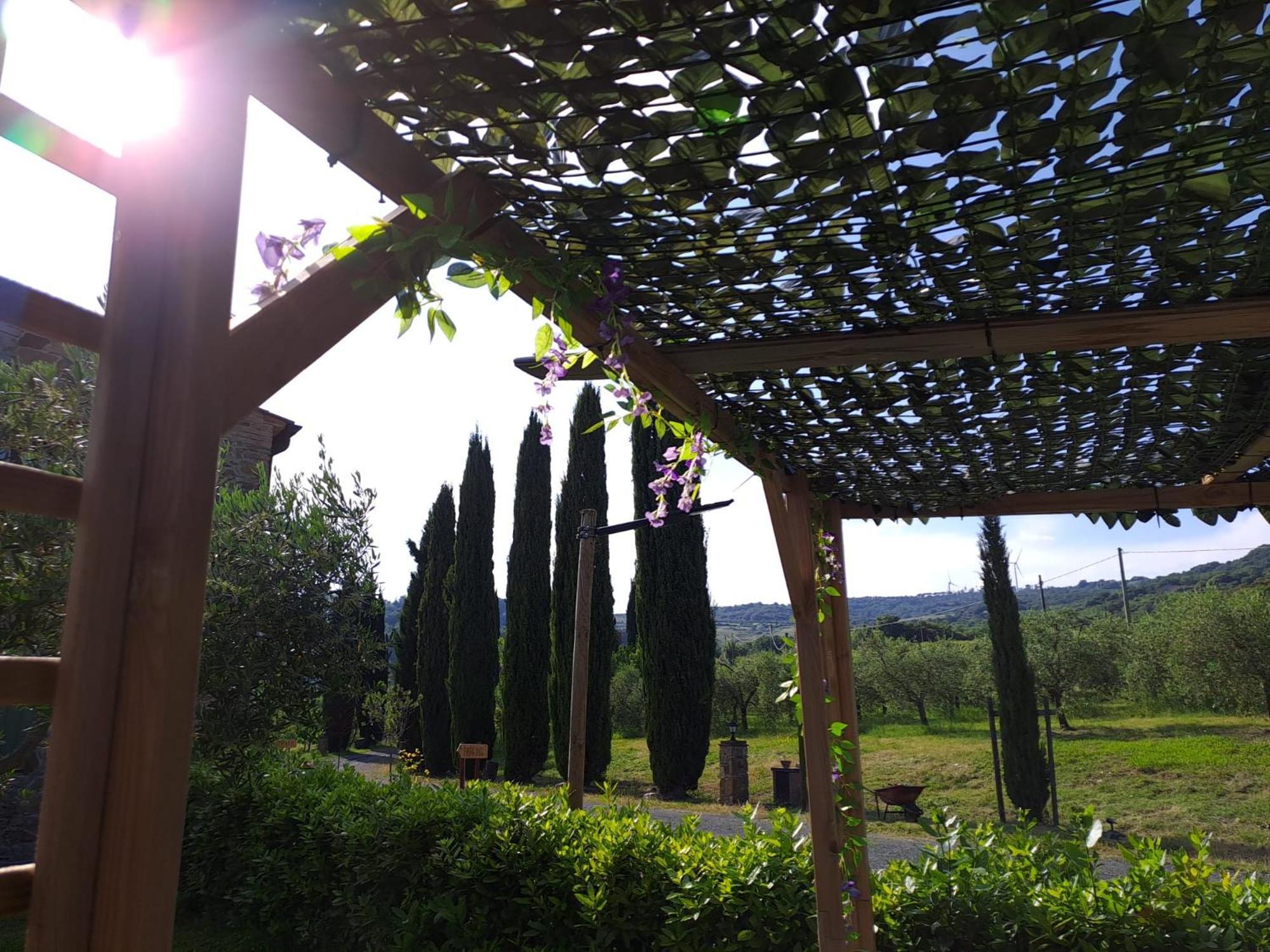 Podere Oliveta Montecatini Val di Cecina Εξωτερικό φωτογραφία