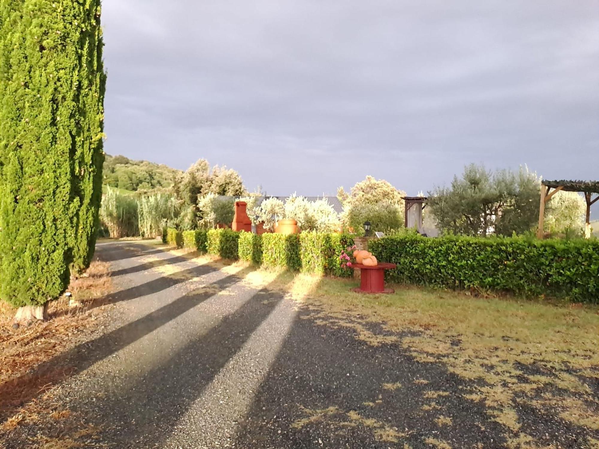 Podere Oliveta Montecatini Val di Cecina Εξωτερικό φωτογραφία